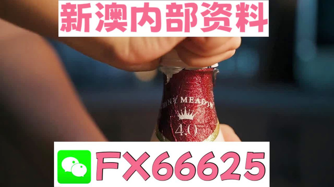 新澳门一码一码100准确,创新型管理思路设计_探索未来48.13.87